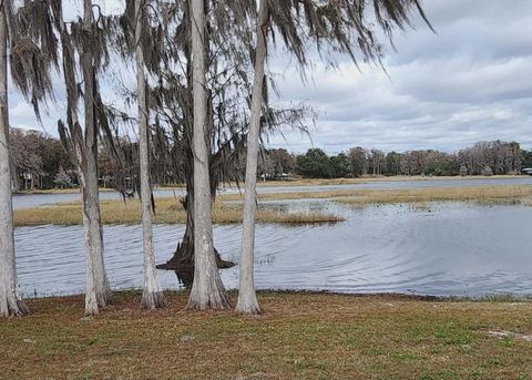 Tiny photo for 1425 S Homestead Point, Inverness, FL 34450 (MLS # W7881106)