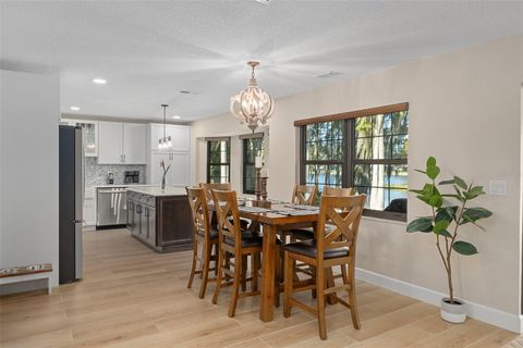 Tiny photo for 1425 S Homestead Point, Inverness, FL 34450 (MLS # W7881106)