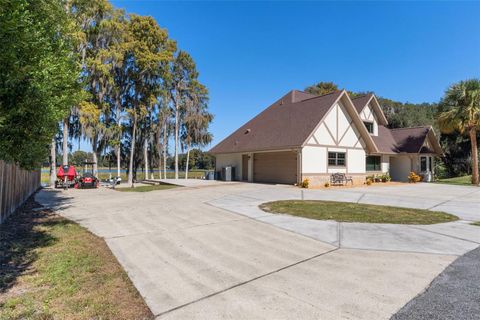 Tiny photo for 1425 S Homestead Point, Inverness, FL 34450 (MLS # W7881106)