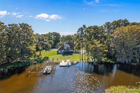 Tiny photo for 1425 S Homestead Point, Inverness, FL 34450 (MLS # W7881106)