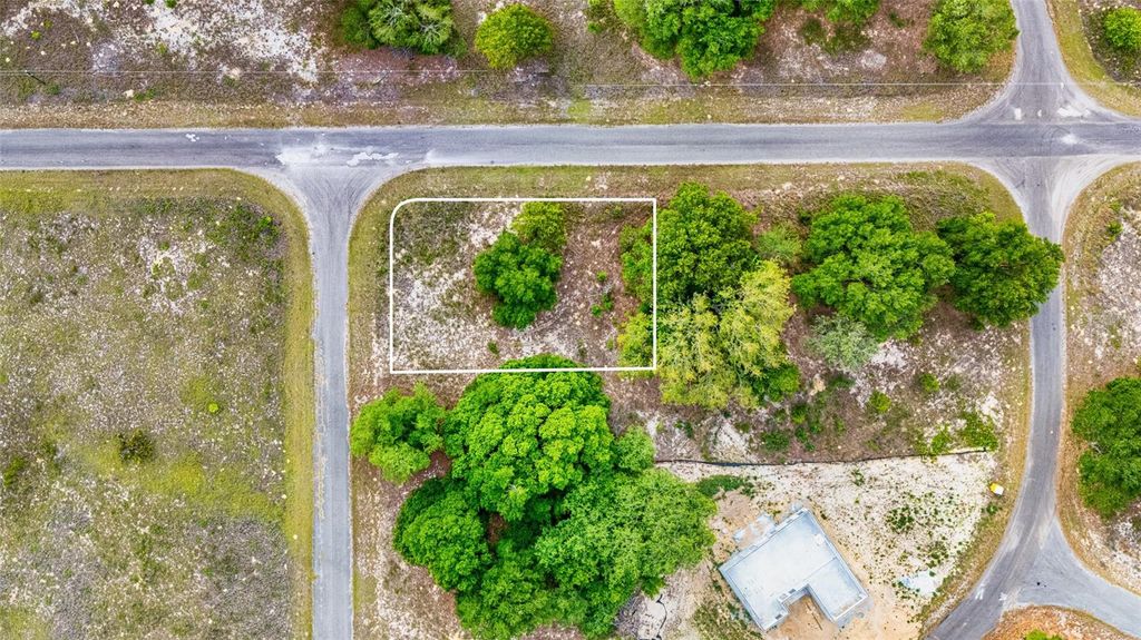 Photo of Guava Terrace, Ocklawaha, FL 32179 (MLS # TB8505727)