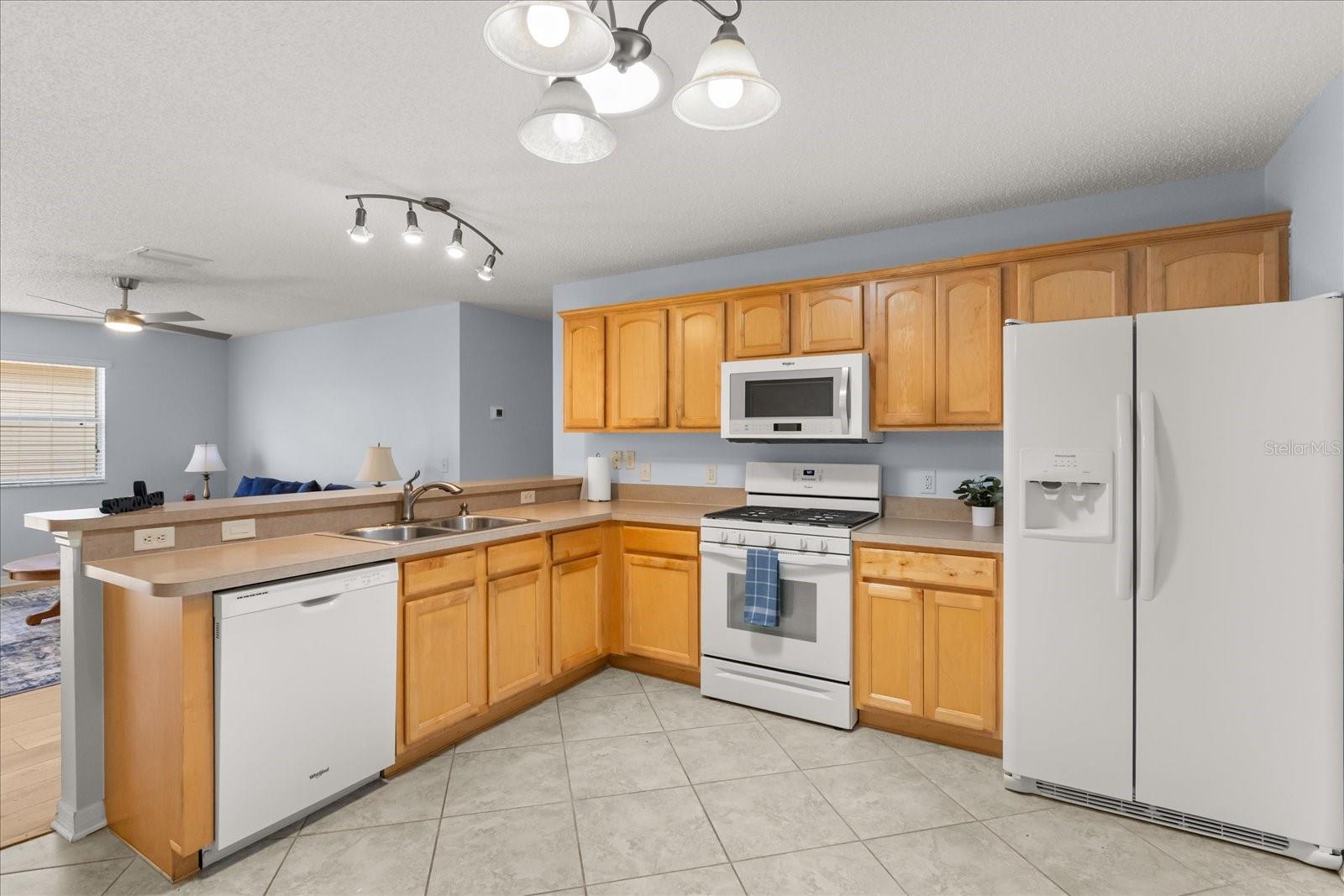 VILLAGES OF SUMTER EMMALEE VILLAS - Residential