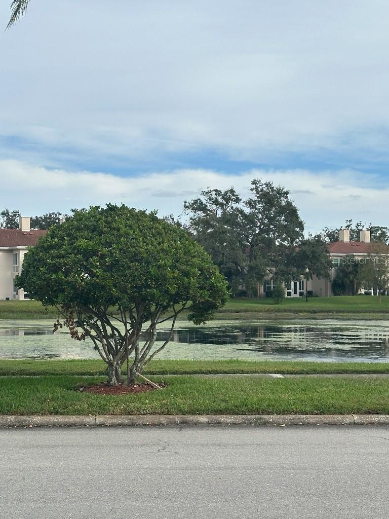 THE GRAND AT OLDE CARROLLWOOD - Residential Lease
