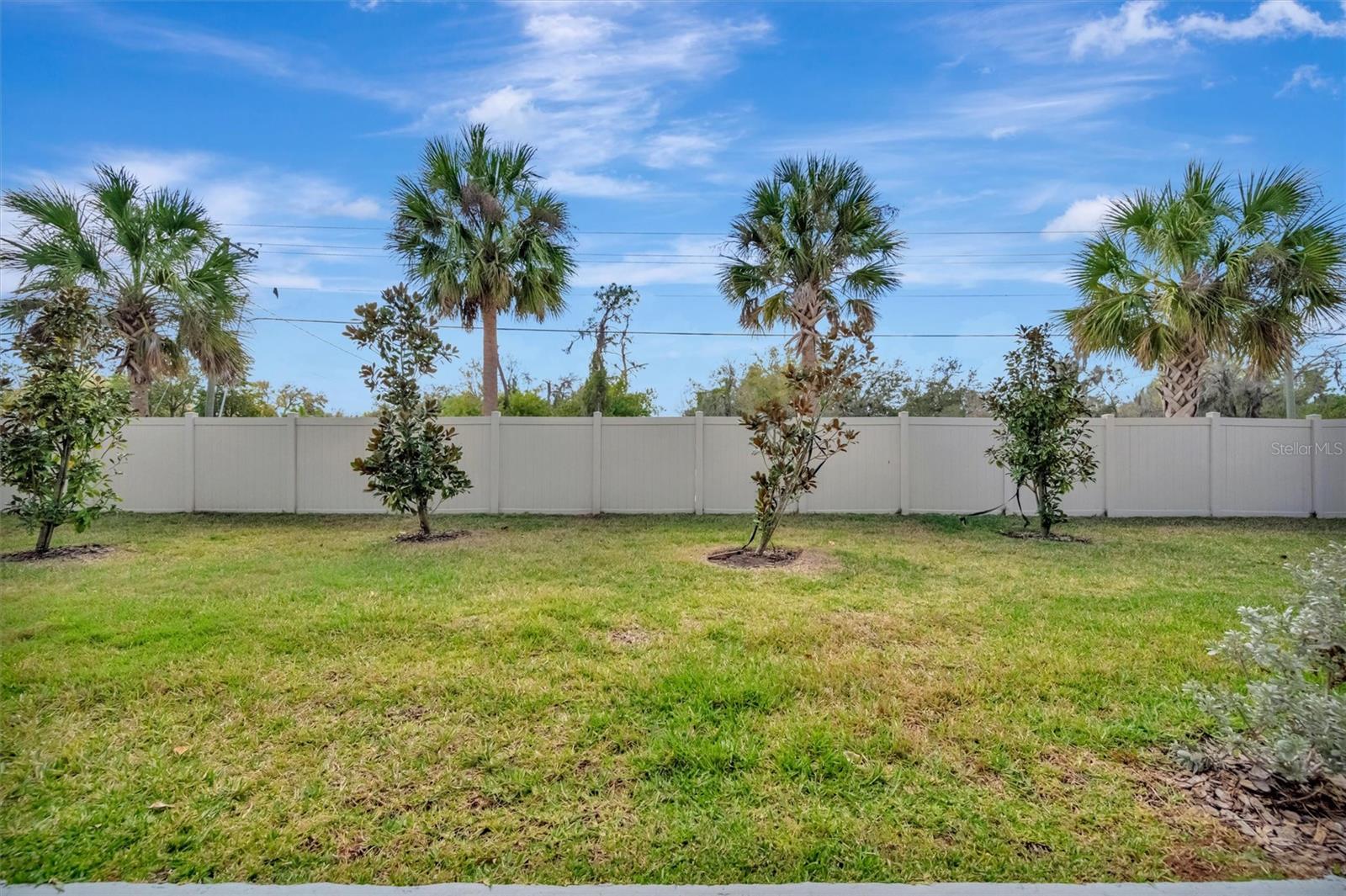 FOREST BROOKE ACTIVE ADULT PH - Residential