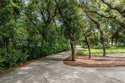 A home in MOUNT DORA