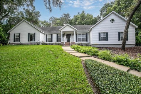 A home in MOUNT DORA