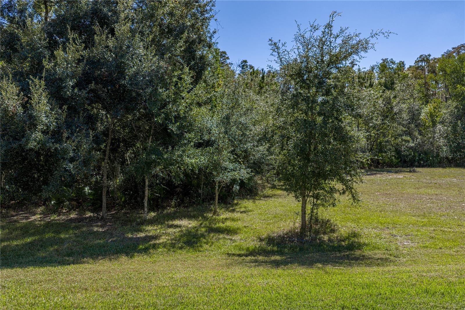 TAMPA BAY GOLF AND TENNIS CLUB - Residential