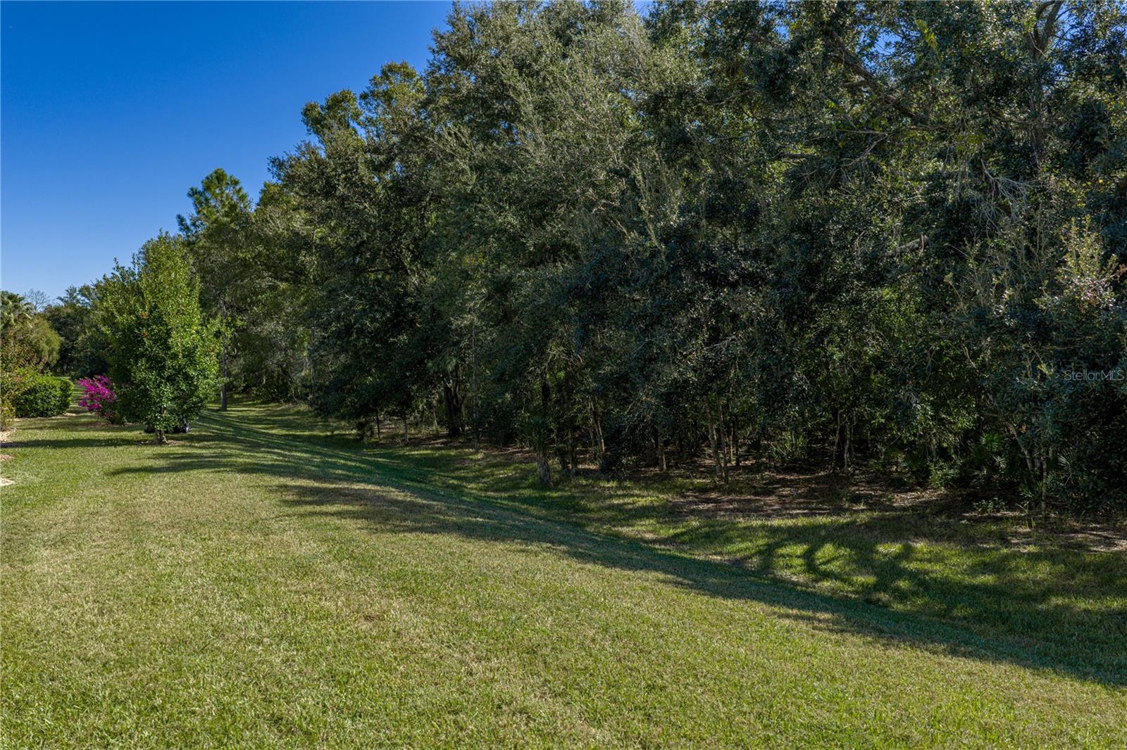 TAMPA BAY GOLF AND TENNIS CLUB - Residential