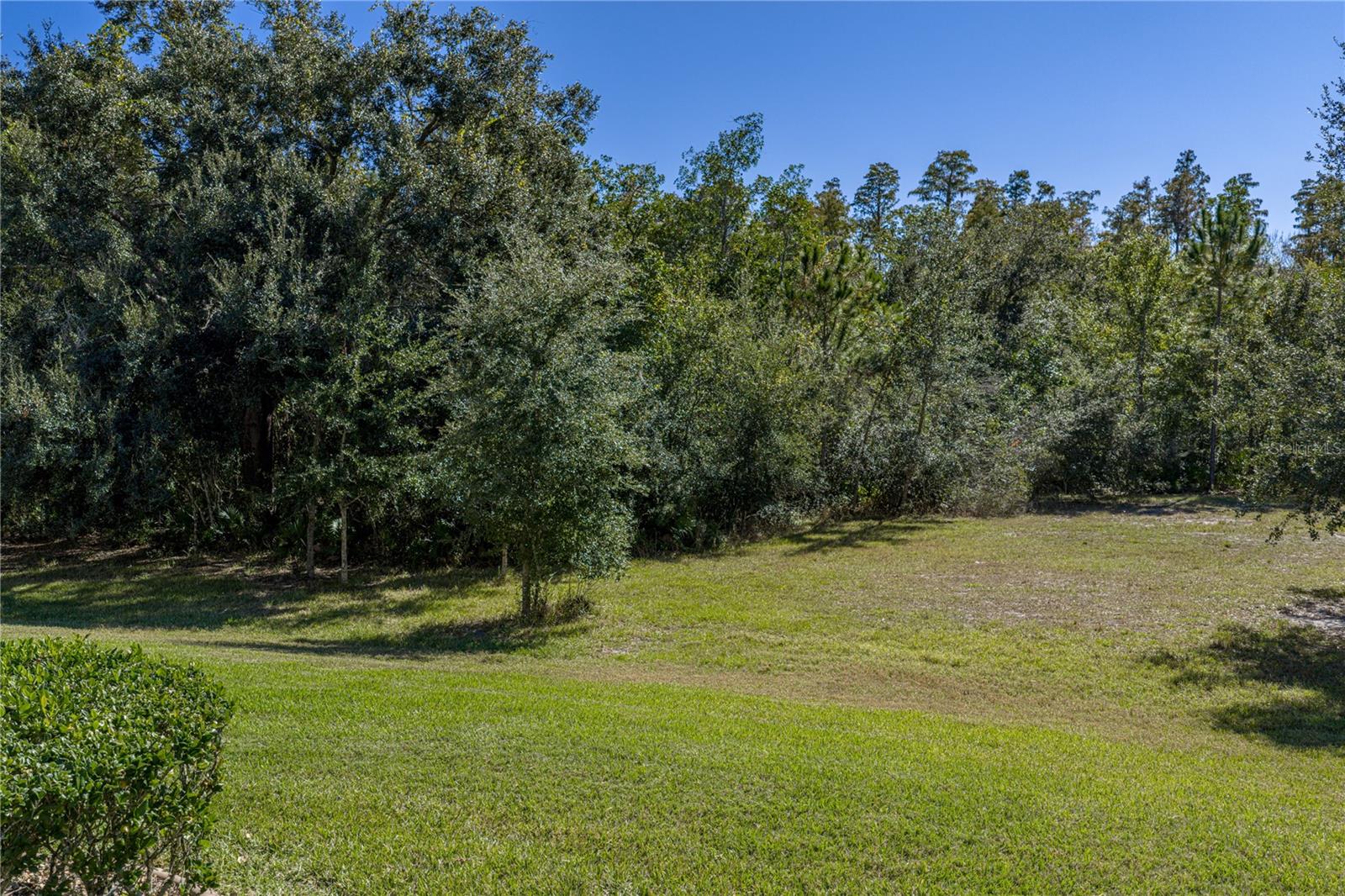 TAMPA BAY GOLF AND TENNIS CLUB - Residential