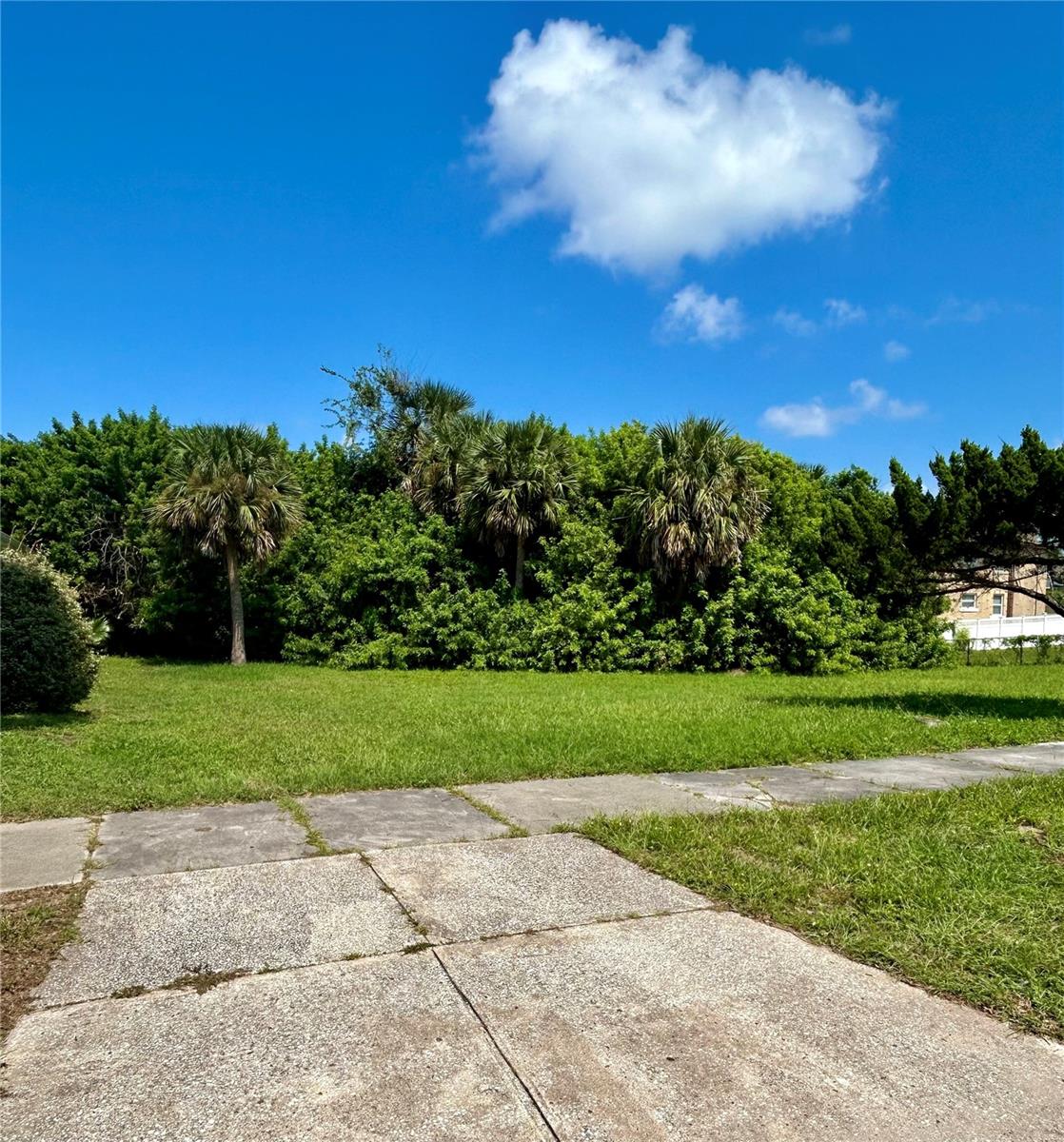 NAUTILUS AVENUE