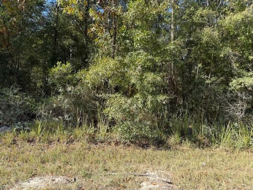 This vacant land parcel presents a blank canvas for your vision in Levy County, Florida. Nestled in a peaceful rural setting, it offers the perfect opportunity to build your dream home, create a weekend retreat, or secure a long-term investment.

Enjoy the tranquility of country living with the convenience of nearby towns, schools, and amenities just minutes away. The property’s location provides easy access to major roads, making travel to Gainesville, Ocala, and Florida’s Gulf Coast simple and efficient.

Levy County is known for its quiet charm, abundant wildlife, and endless outdoor recreation. From fishing and boating to hiking and exploring nature, this parcel places you at the heart of it all. Whether you’re seeking a serene lifestyle or a smart investment, this property is ready to deliver.