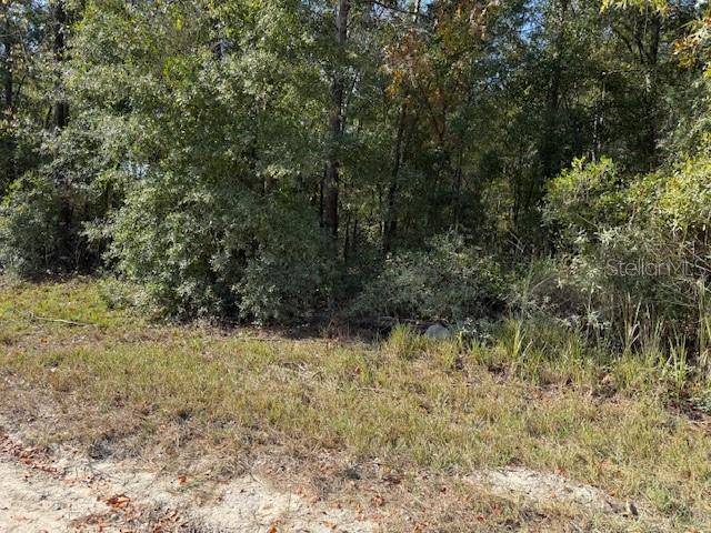 WOLF SPG HILLS - Land