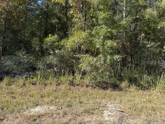 WOLF SPG HILLS - Land