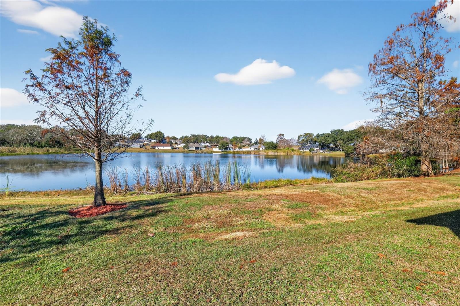 FRANKLIN POND - Residential