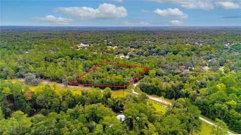 Photo of 10111 NE 114th Street, Archer, FL 32618 (MLS # OM712892)