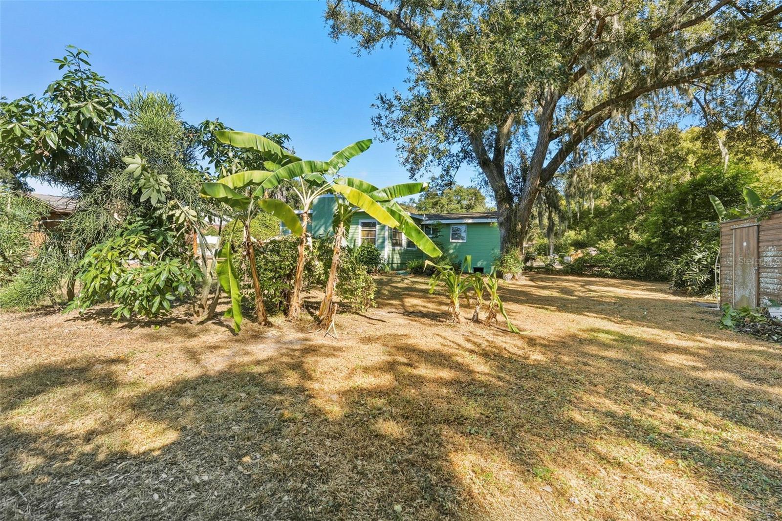 UNPLATTED - Residential