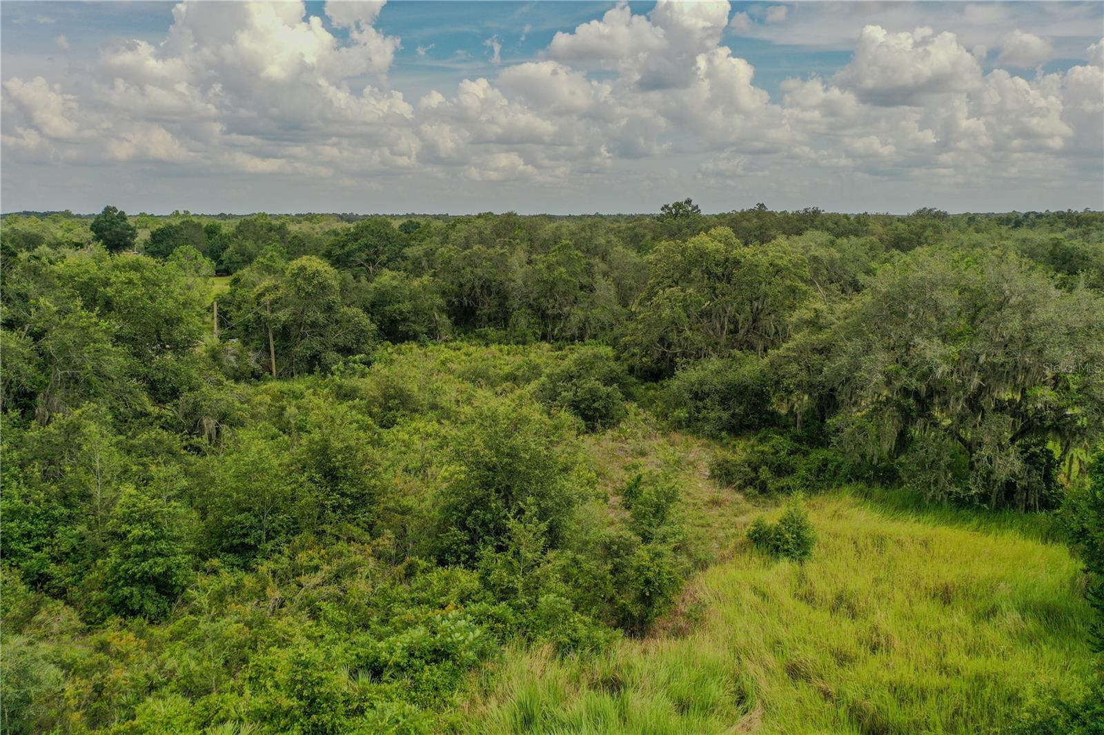LAKE WALES ESTATES - Land