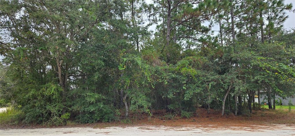 Photo of 13476 Canada Goose Road, Brooksville, FL 34614 (MLS # W7879808)