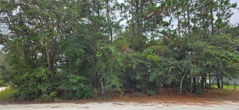 13476 CANADA GOOSE ROAD BROOKSVILLE FL 34614