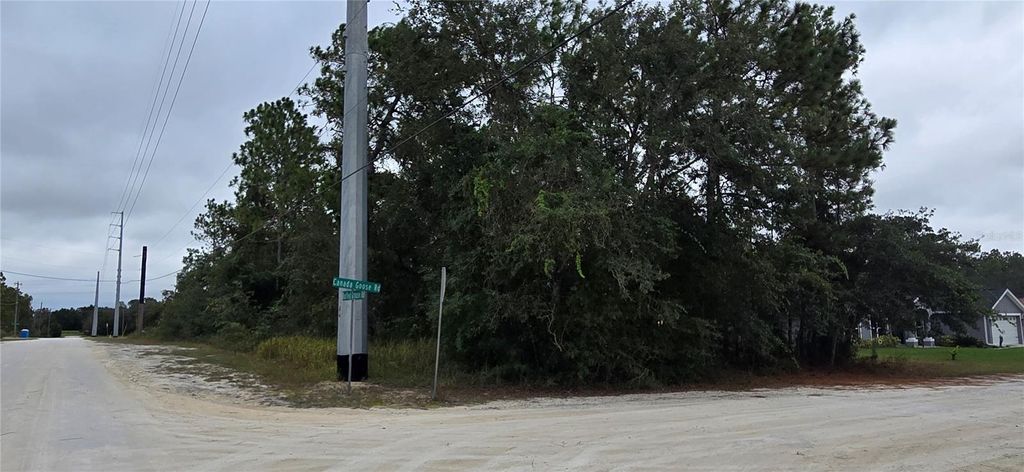 Photo of 13476 Canada Goose Road, Brooksville, FL 34614 (MLS # W7879808)