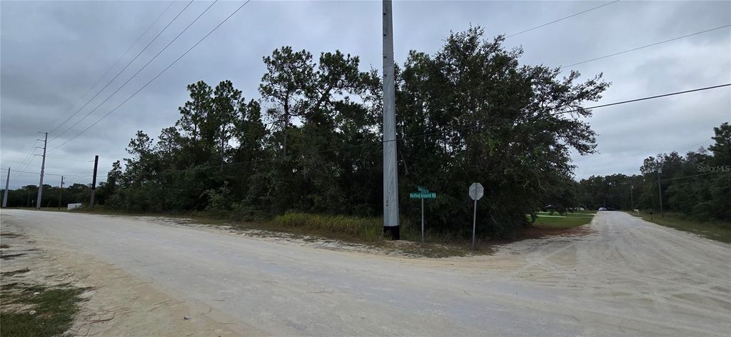 Photo of 13476 Canada Goose Road, Brooksville, FL 34614 (MLS # W7879808)
