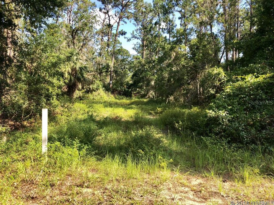 PRICE REDUCED! Rare opportunity to purchase this much land at an affordable price in Edgewater.  Beautiful 2.14 acre residential building site partially cleared.  Owner has had lot staked, surveyed and partially cleared.  Great location, close to shopping and highway convenience.  Utilities available.  Owner selling another parcel (1.22 acres) that can be purchased with this parcel or purchased separately.  Combined acreage is 3.36 if purchased together and $113,000.00. Information is intended to be accurate but not guaranteed.; Cleared: Partial ;Water: Available at Site