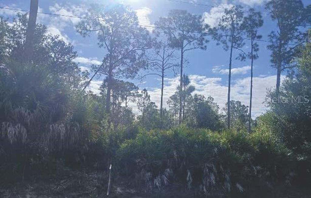 Photo of 1302 Willard Avenue, Lehigh Acres, FL 33972 (MLS # O6400552)