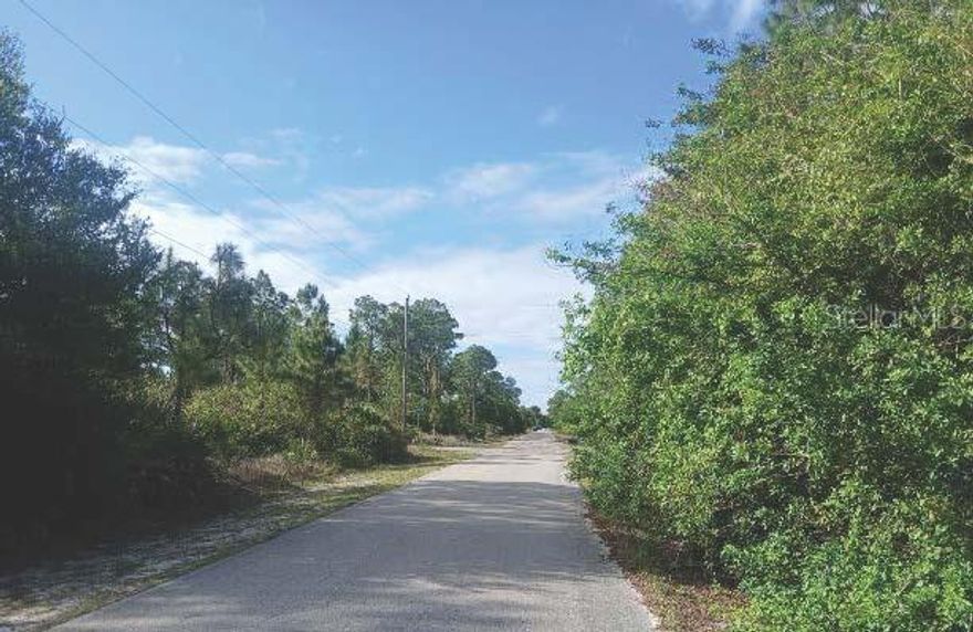 Build your dream home on this 0.50-acre vacant lot at 1302 Willard Ave in desirable Lehigh Acres. Situated in one of Southwest Florida’s fastest-growing communities, this uncleared parcel offers a prime opportunity for new construction or long-term investment. Located in a peaceful residential area surrounded by ongoing development, it provides both privacy and convenience with easy access to schools, shopping, dining, and major roadways. Enjoy nearby outdoor destinations like Harns Marsh Preserve, Lehigh Acres Trailhead Park, and Veterans Park & Recreation Center. With no HOA, low taxes, and strong area growth, this property is an excellent chance to secure land in a thriving market.