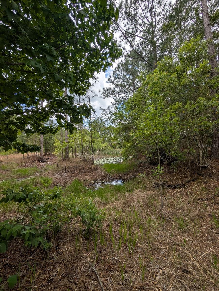 FRST LAKES & HILLS ADD 02 - Land