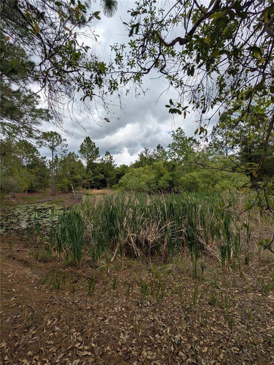 FRST LAKES & HILLS ADD 02 - Land