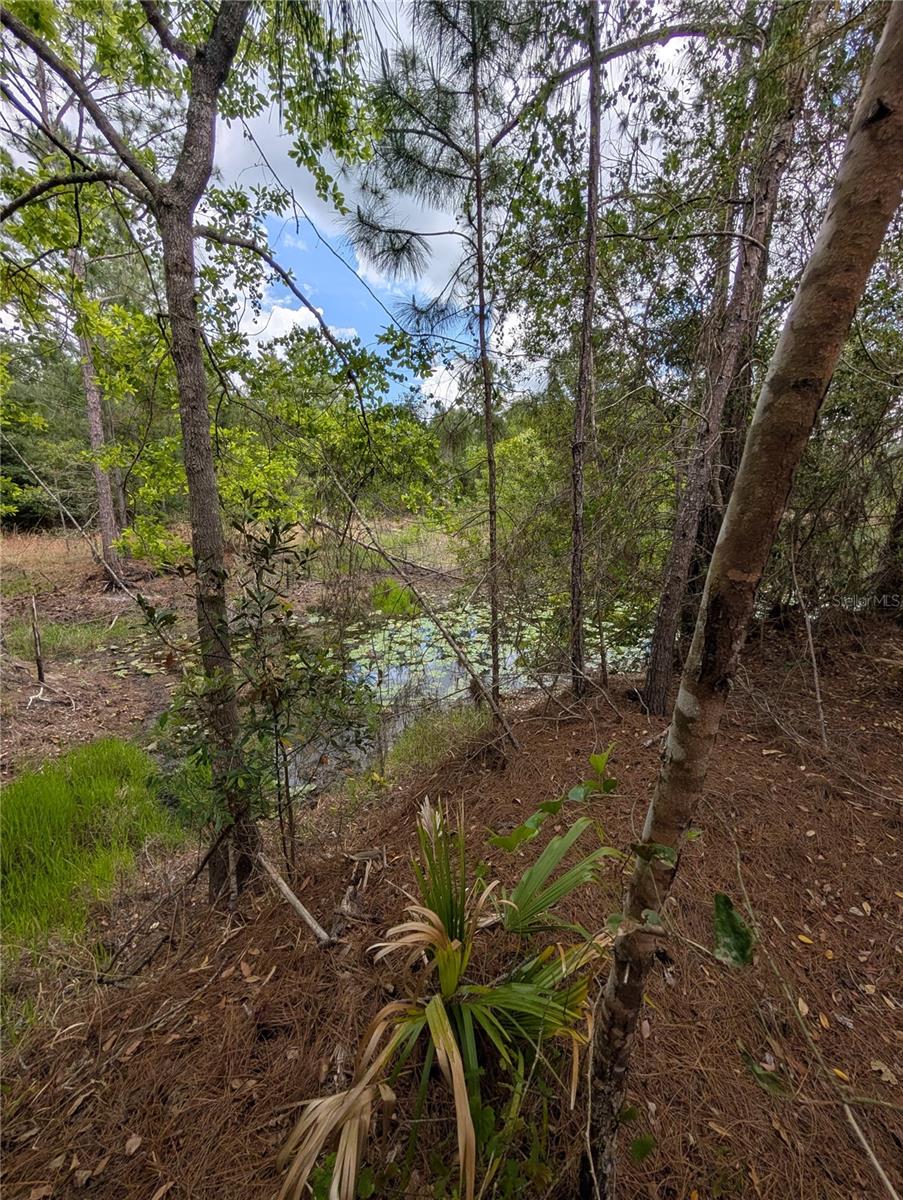 FRST LAKES & HILLS ADD 02 - Land