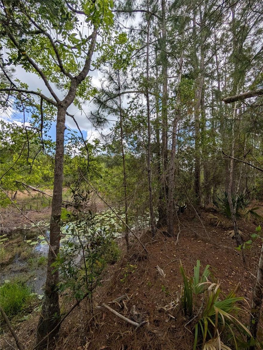 Vacant residential land located in Eustis, Lake County, offering approximately 4.75 acres according to public records. Property Appraiser records show approximately 2.25 acres classified as Vacant Residential and approximately 2.50 acres classified as Wetland. The property appears wooded and has no recorded improvements. Located on a dirt road with a peaceful rural setting. Great opportunity for buyers looking for acreage in the Eustis area. Buyer and buyer’s agent must independently verify zoning, buildability, wetlands, flood zone, road access, utilities, lot dimensions, frontage, environmental restrictions, and all county requirements.