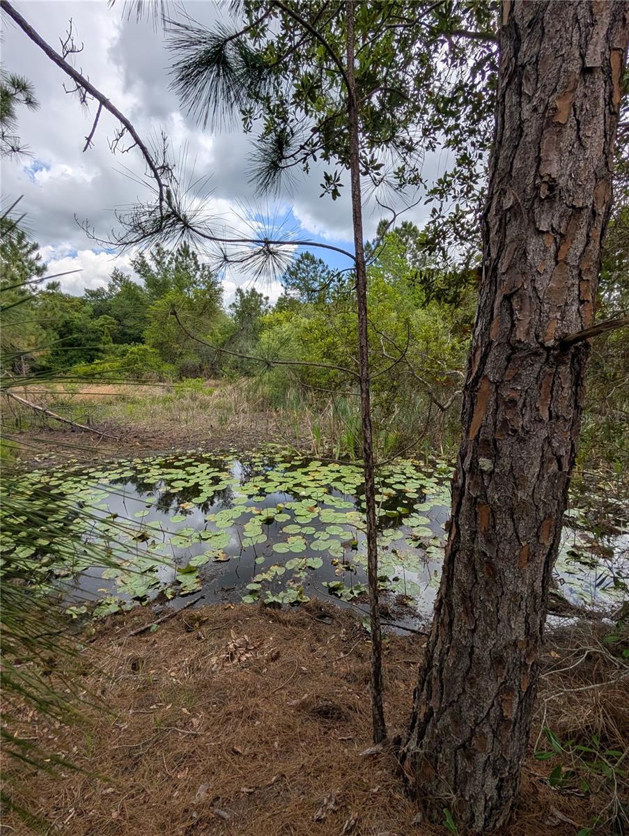 FRST LAKES & HILLS ADD 02 - Land