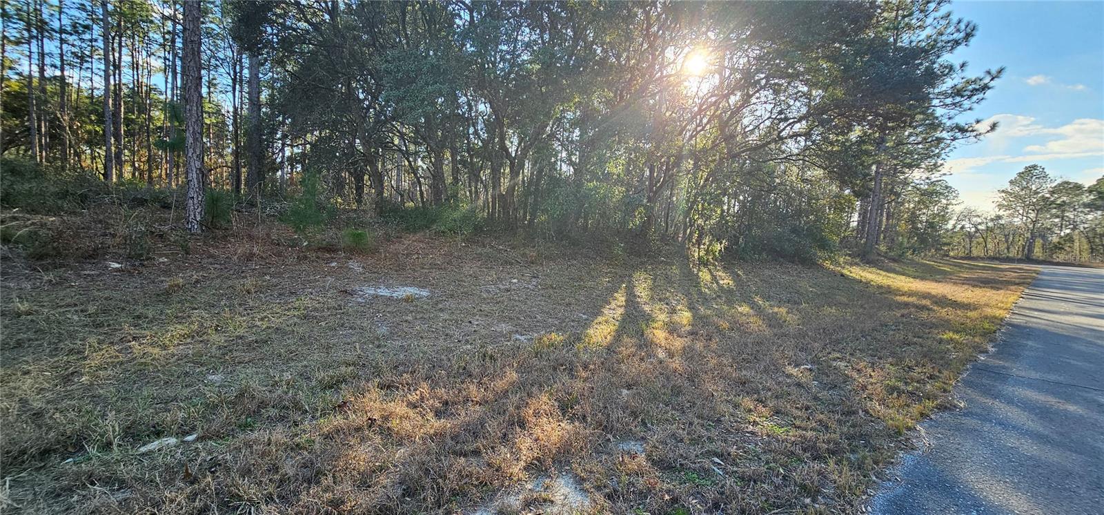 SW 61ST AVENUE ROAD