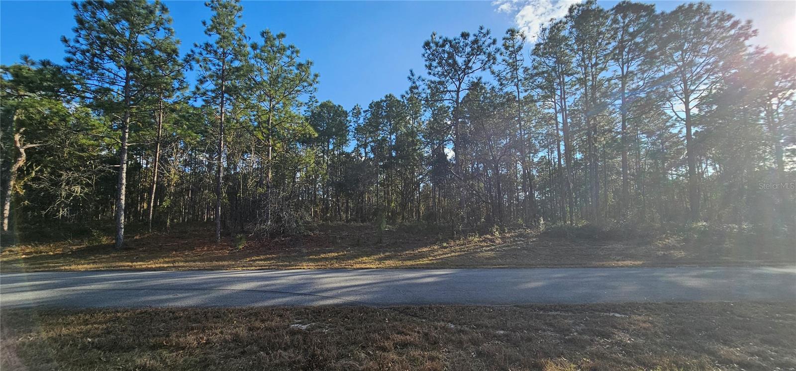 SW 61ST AVENUE ROAD