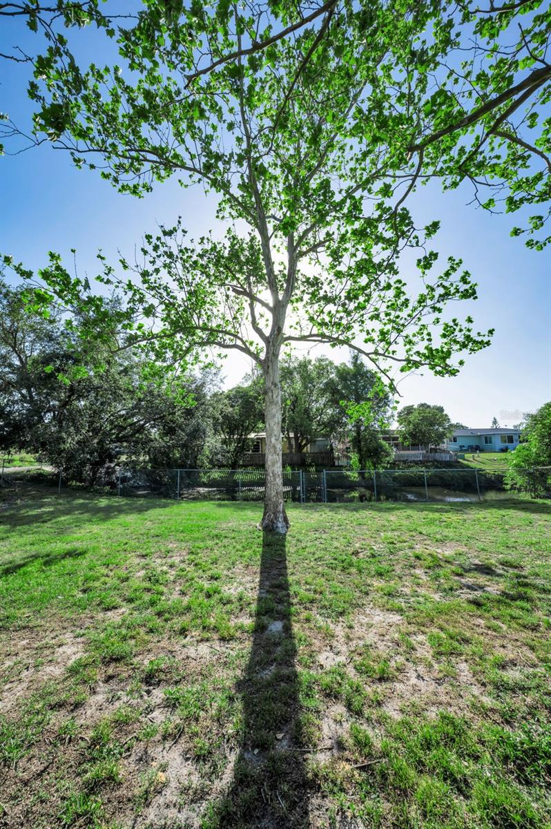 SHADOW OAKS - Residential