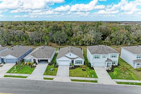 17250 WHEATBERRY BOULEVARD PARRISH FL 34219