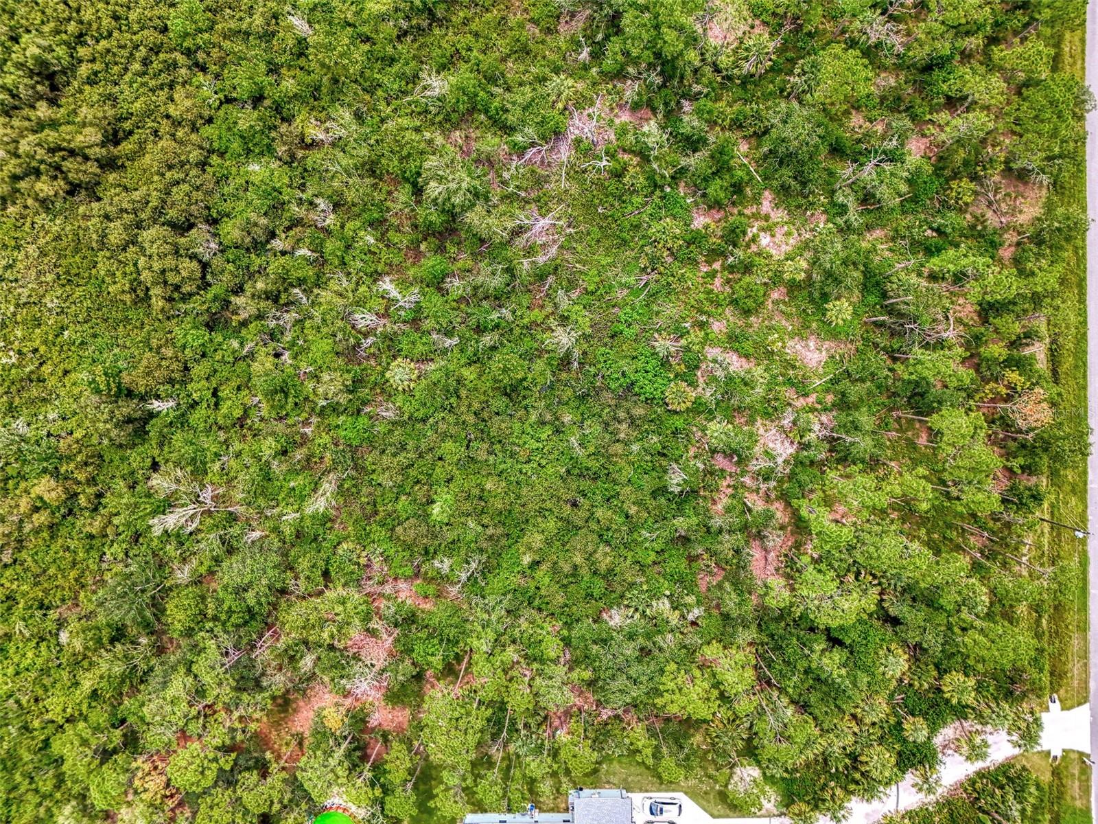 NORTH PORT CHARLOTTE ESTATES ADD 01 - Land