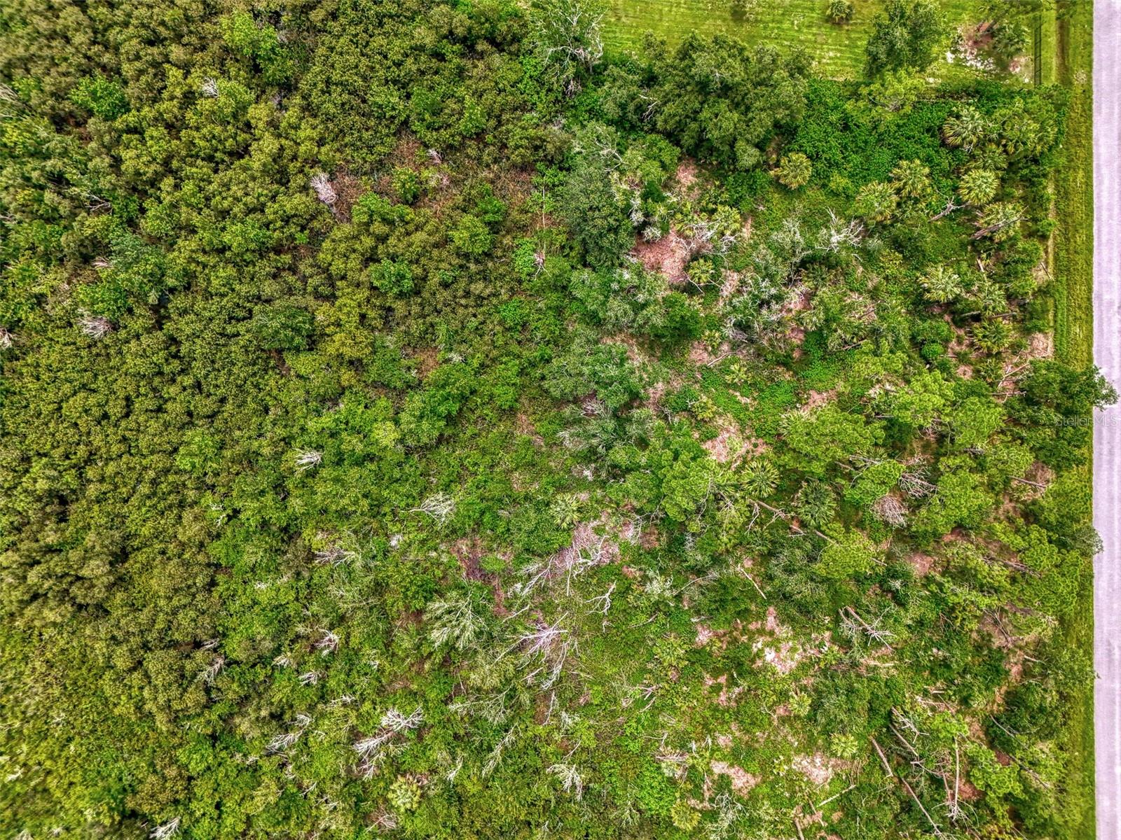 NORTH PORT CHARLOTTE ESTATES ADD 01 - Land