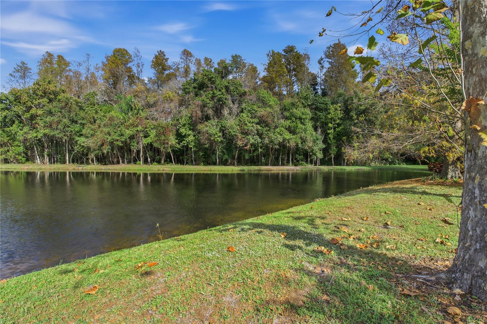 CRESCENT OAKS COUNTRY CLUB COVENTRY PH 6 - Residential