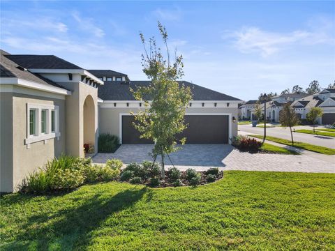 A home in LAND O LAKES