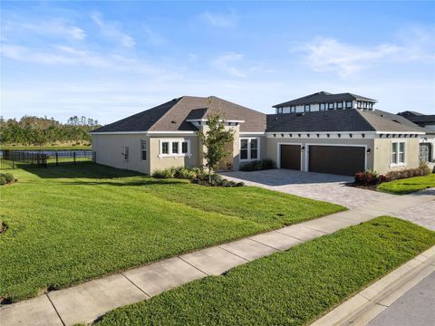 A home in LAND O LAKES