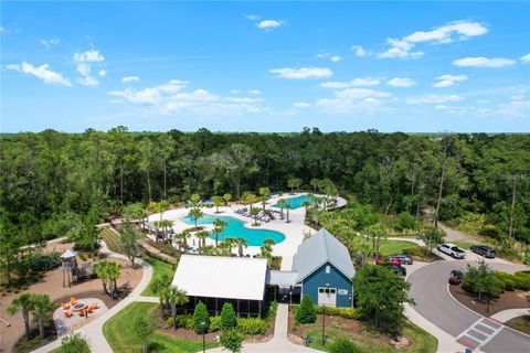 A home in LAND O LAKES