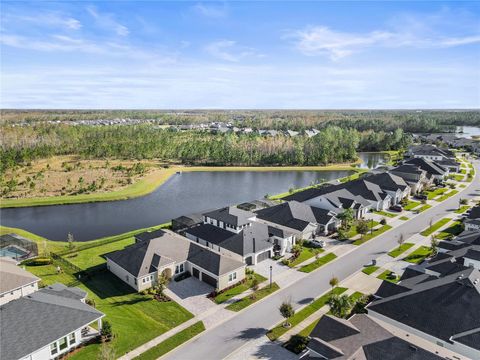 A home in LAND O LAKES