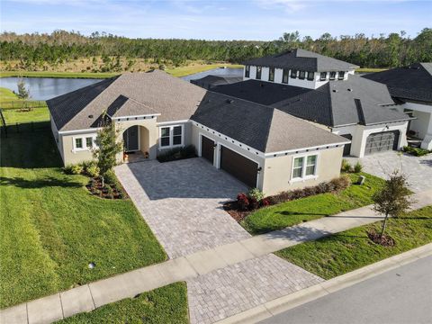 A home in LAND O LAKES