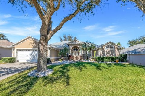 1082 PRINCETON DRIVE CLERMONT FL 34711