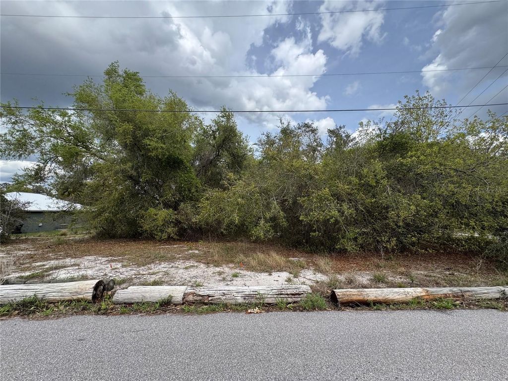 Photo of Cedar Cir, Lake Wales, FL 33898 (MLS # K4903345)