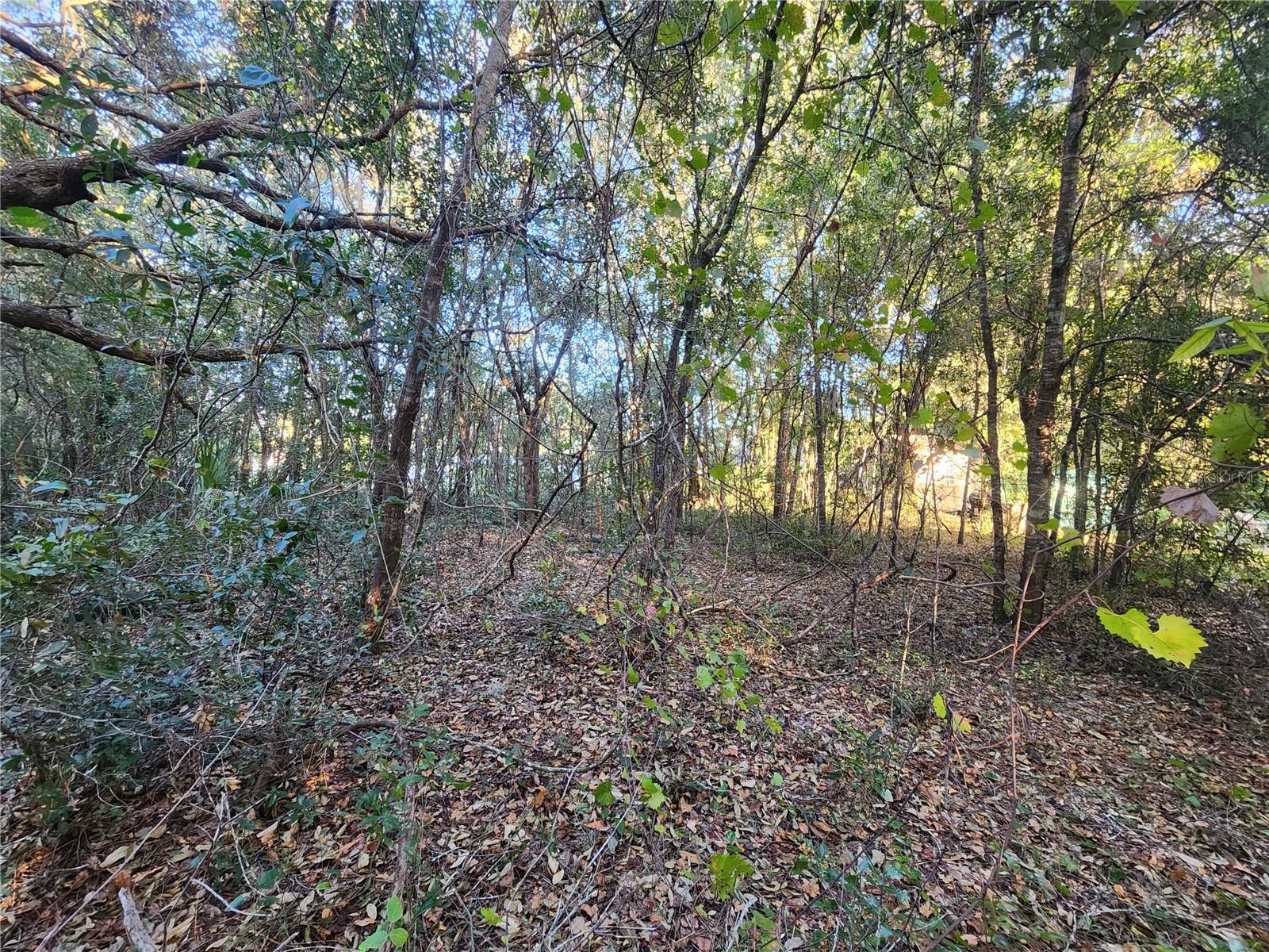 WHITE LAKE SUB - Land