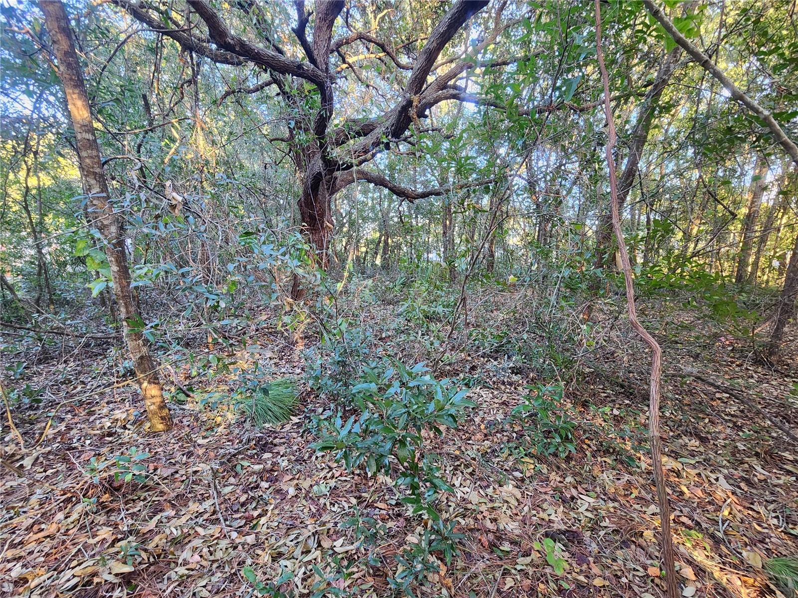 WHITE LAKE SUB - Land