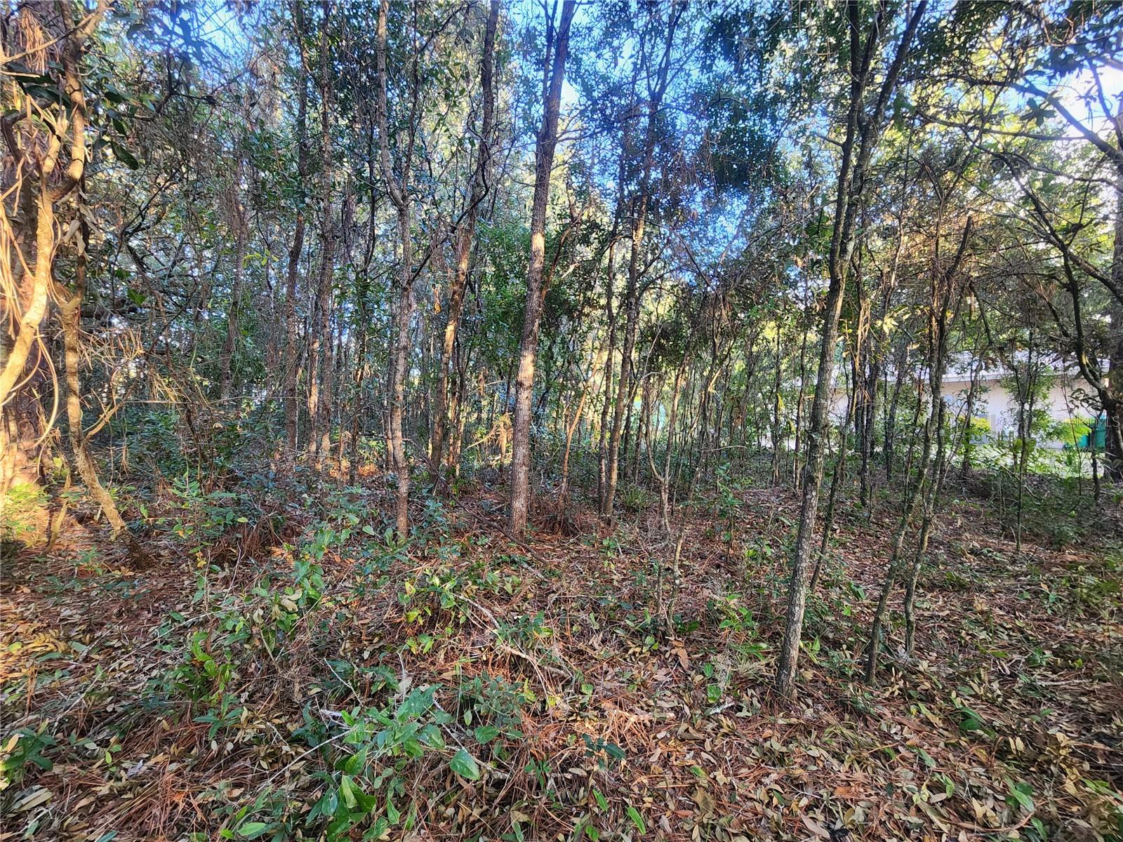 WHITE LAKE SUB - Land